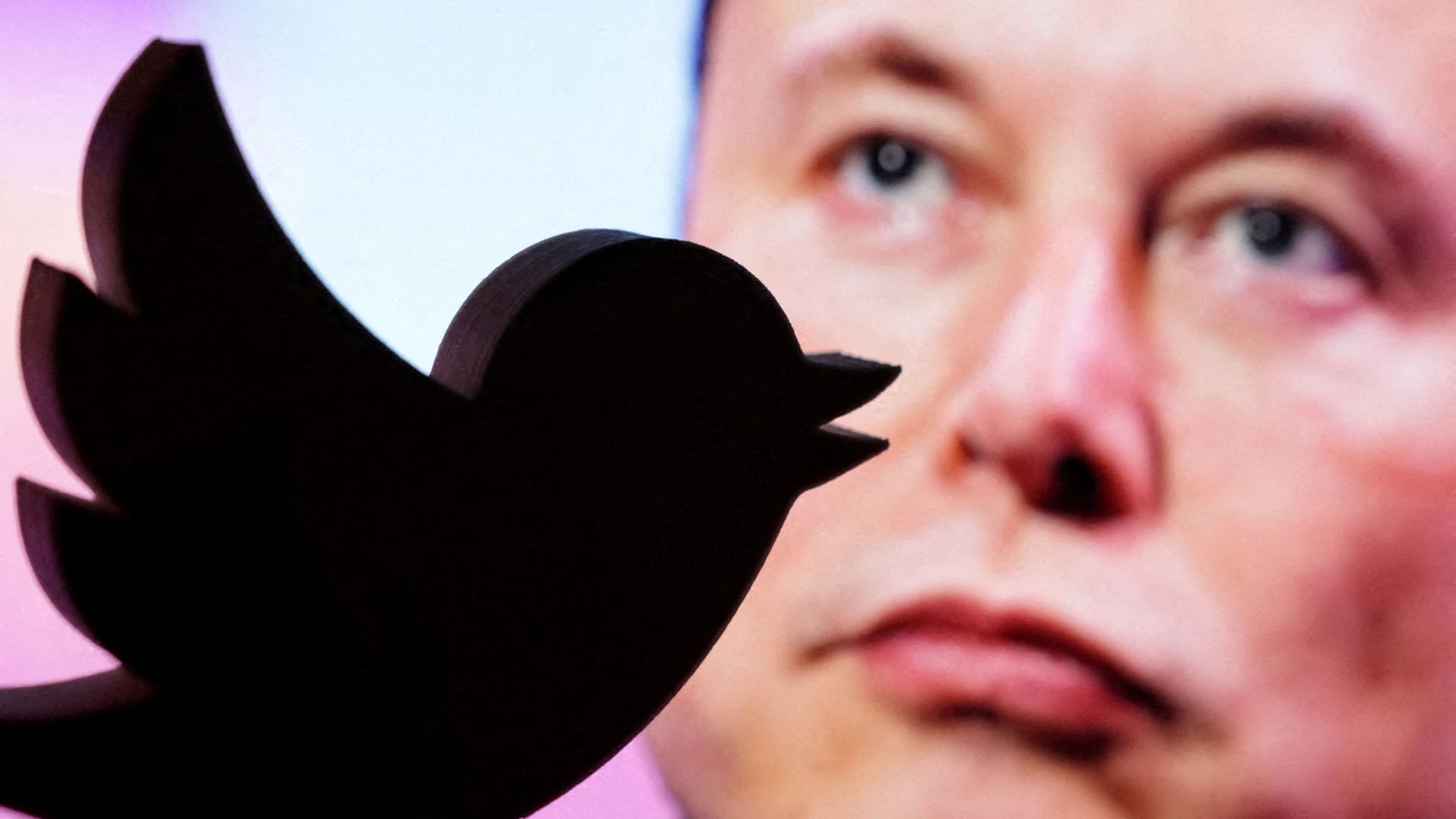 FILE PHOTO: Illustration shows Elon Musk photo and Twitter logo