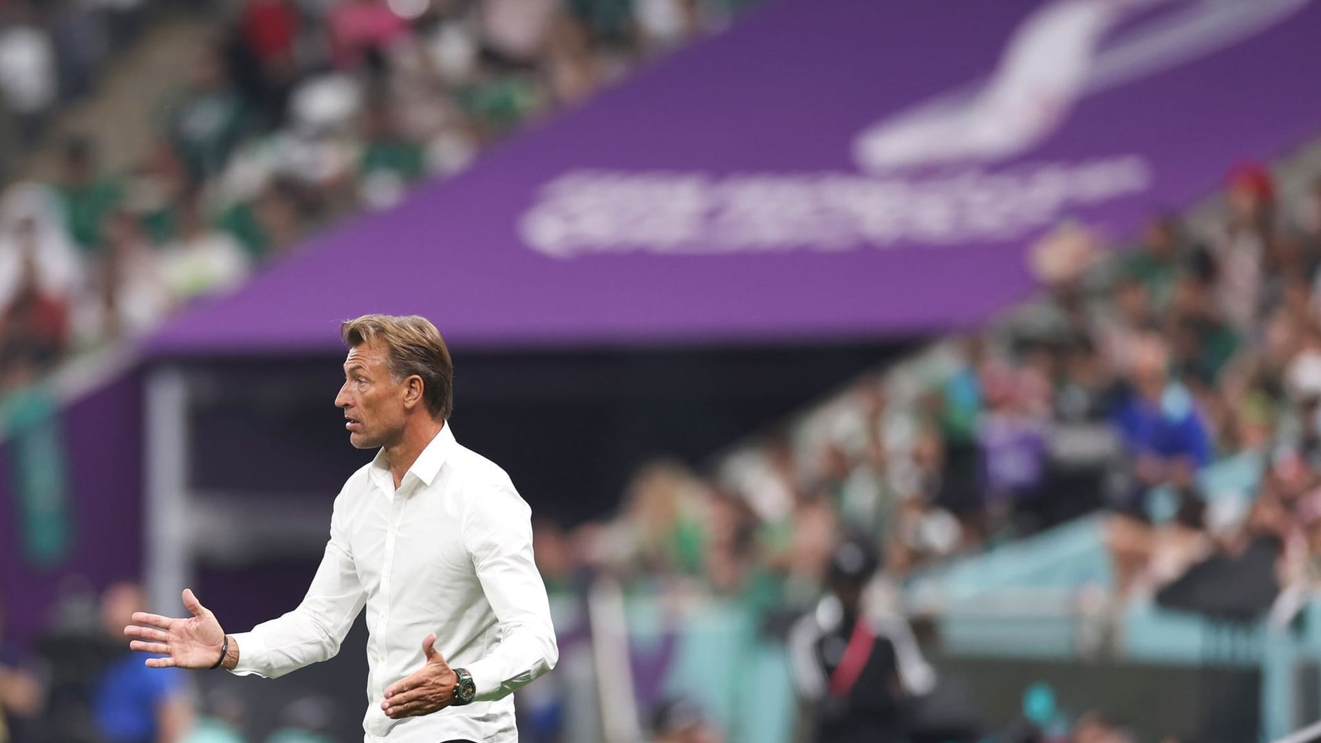 Hervé Renard