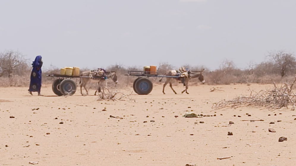 Wassermangel in Ostafrika