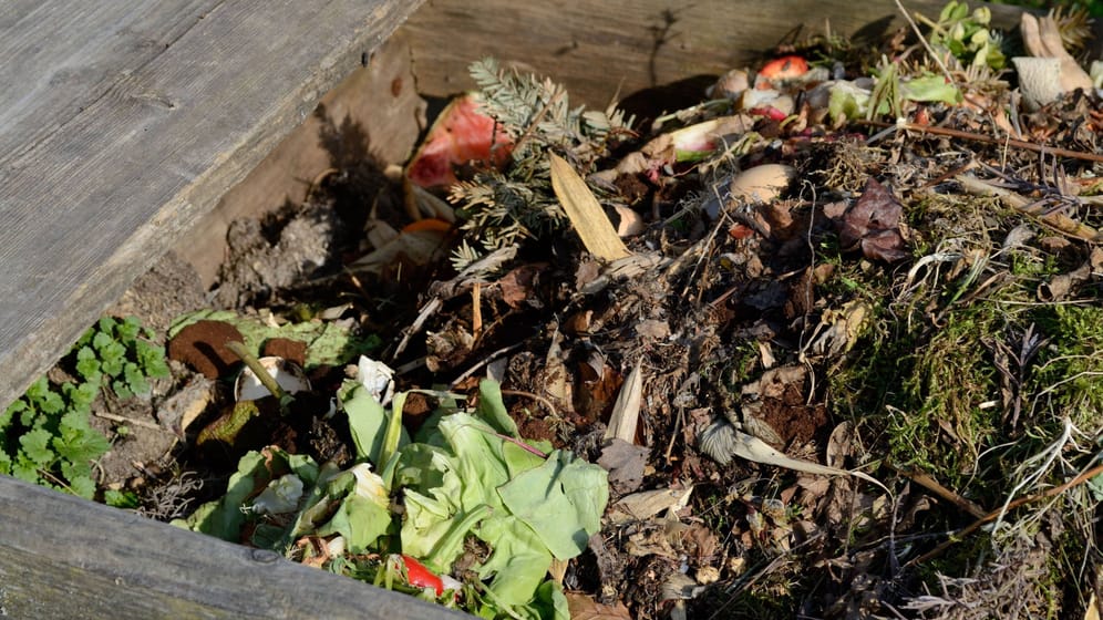 Manche Schalenfrüchte zersetzen sich auf dem Kompost besonders schlecht. Beliebtes Winter-Obst gehört auch dazu.