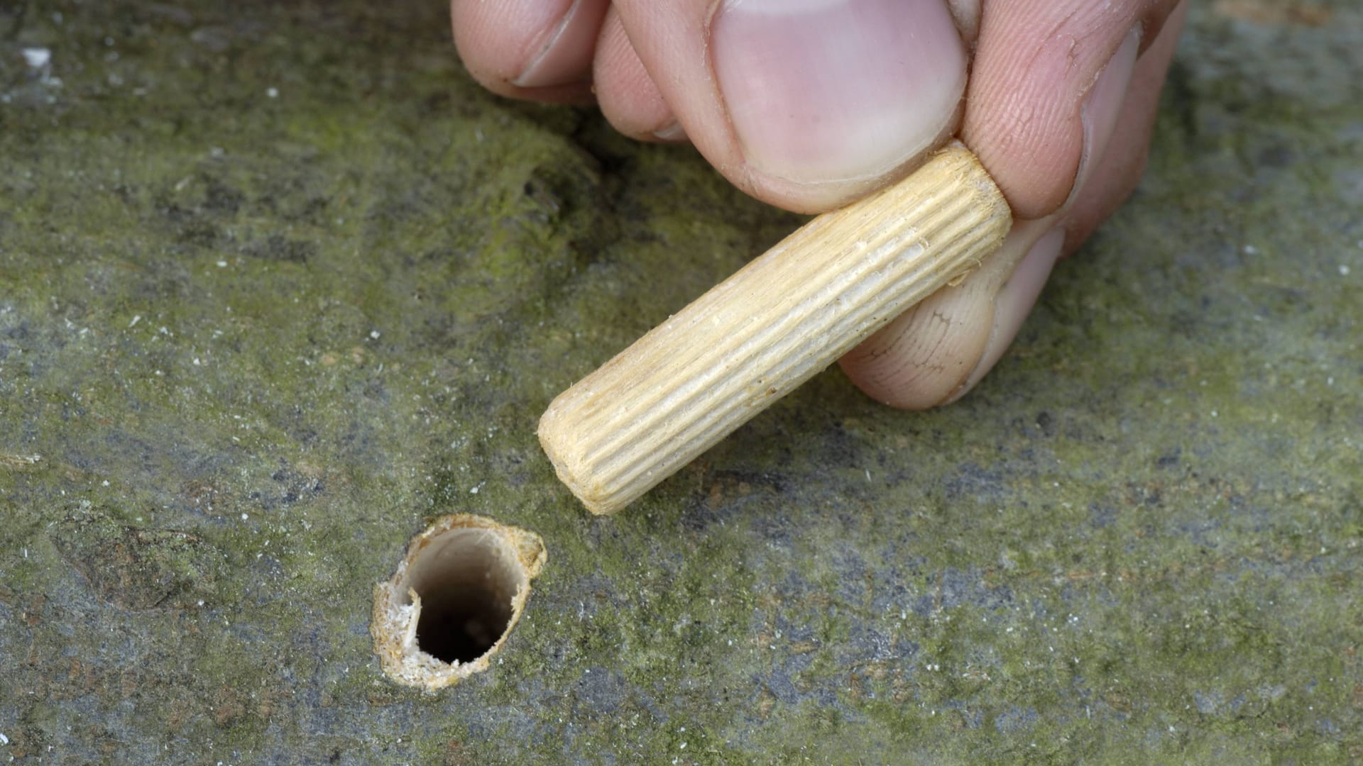 Holzdübel: Die kleinen Teile halten Möbelstücke zusammen.