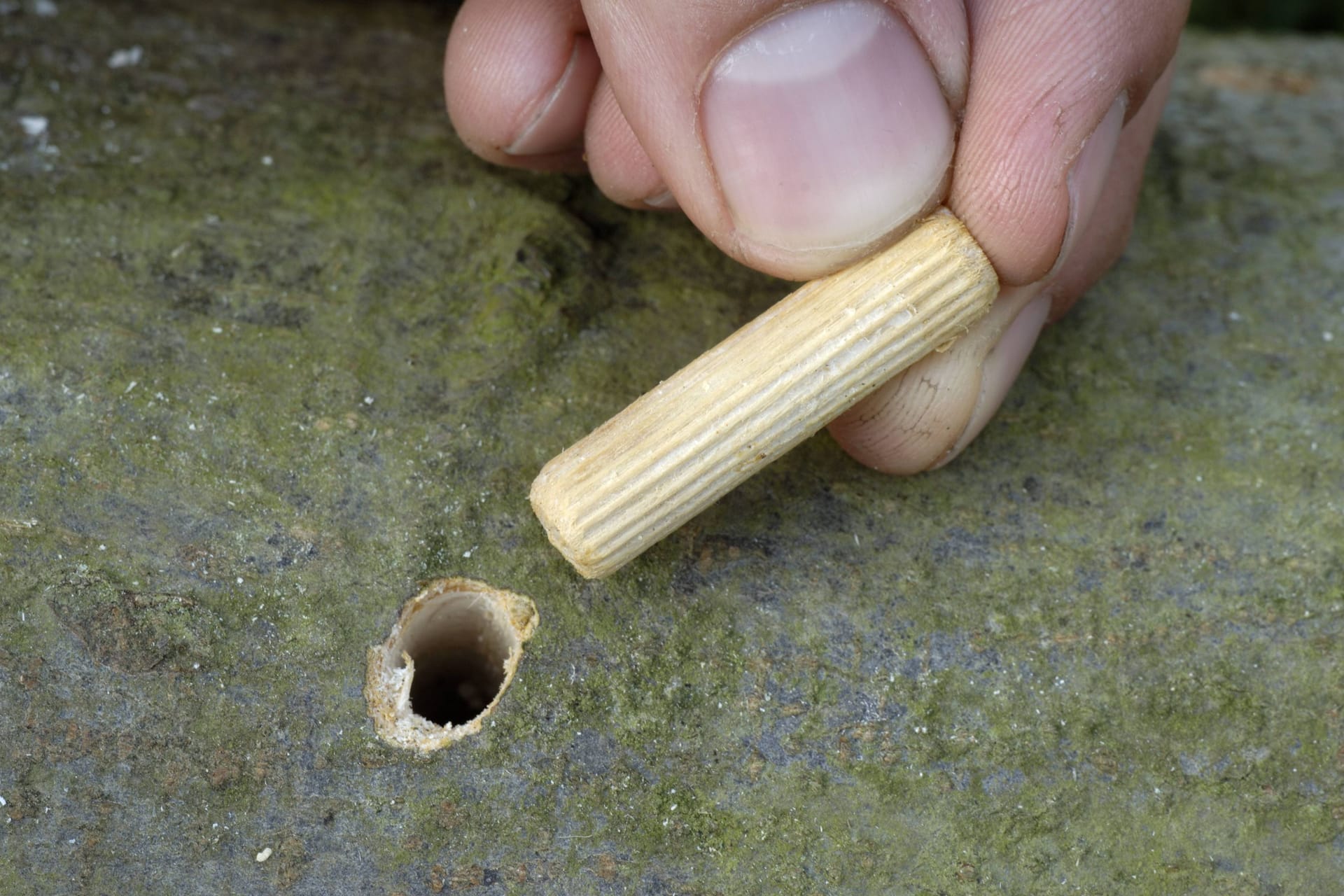 Holzdübel: Die kleinen Teile halten Möbelstücke zusammen.