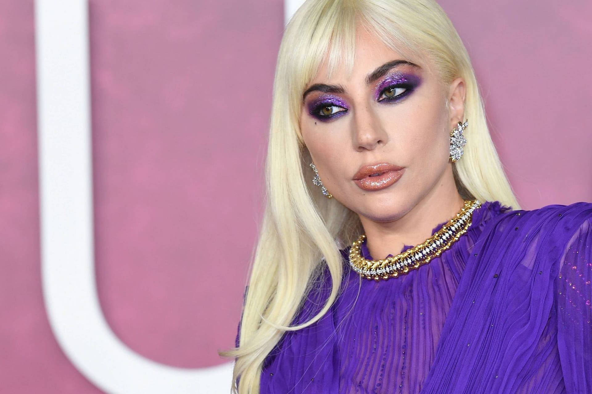 Lady Gaga: Die Sängerin bangte nach einem Überfall um ihre Hunde.