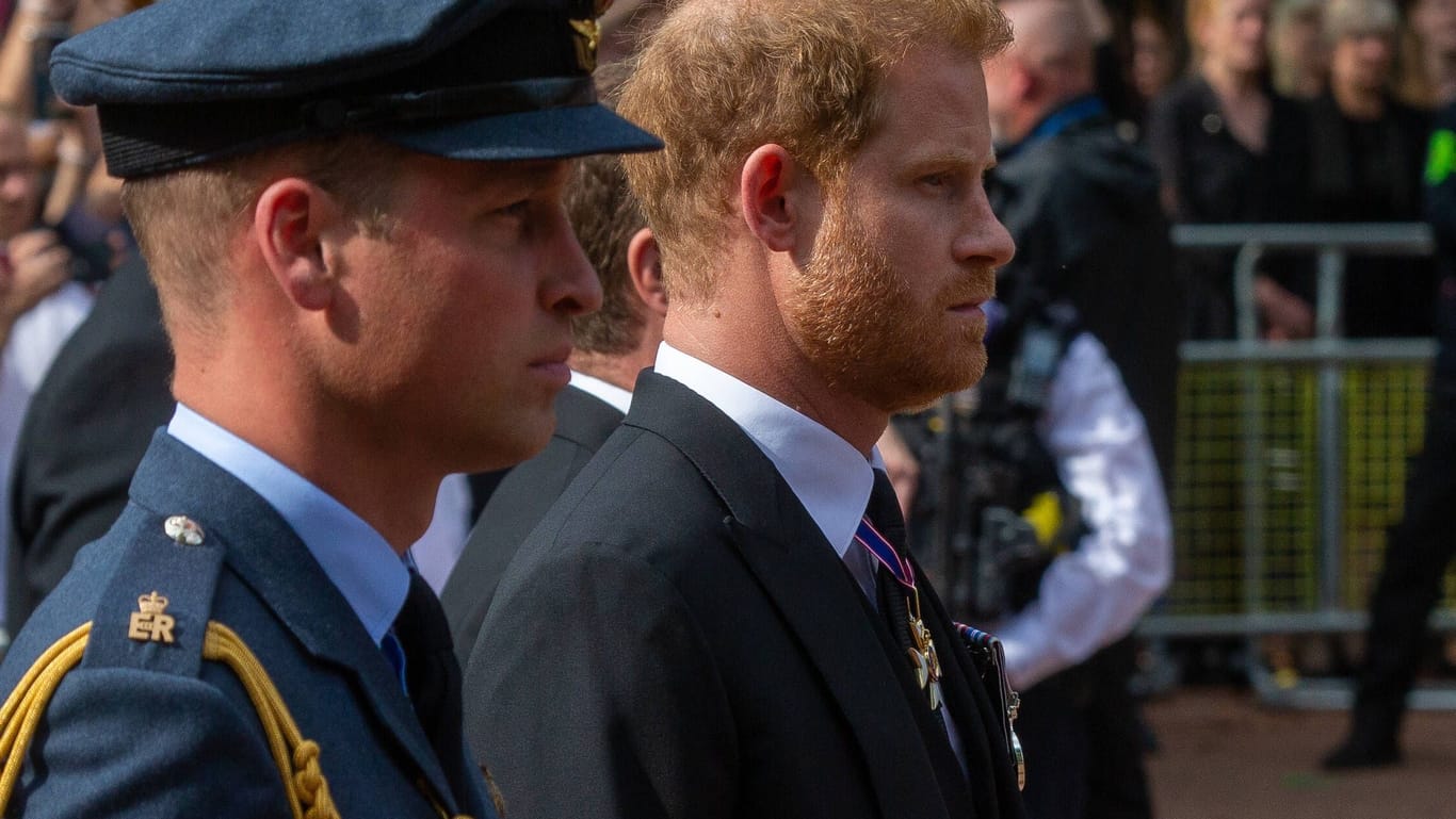 Prinz William und Prinz Harry: Die Brüder haben ein zerrüttetes Verhältnis.