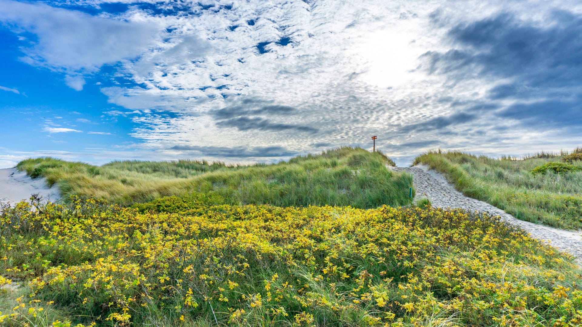 Insel Spiekeroog (Archivfoto): Damit die Schönheit des Wattenmeeres weiterhin Bestand hat, wurde verschiedene Maßnahmen erarbeitet.