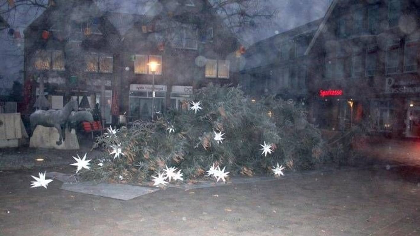 Der abgesägte Weihnachtsbaum in Halle: Vandalen hatten den Baum umgeworfen und liegen gelassen.