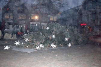 Der abgesägte Weihnachtsbaum in Halle: Vandalen hatten den Baum umgeworfen und liegen gelassen.