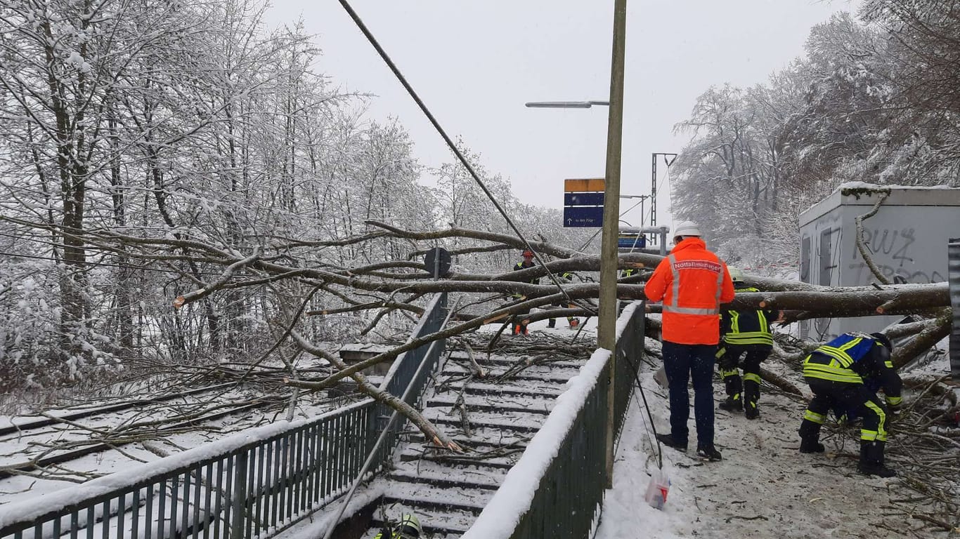 Umgestürzter Baum an S-Bahn-Halt bei Erding: Bei einem Unfall wurden am Freitag zwei Menschen verletzt.