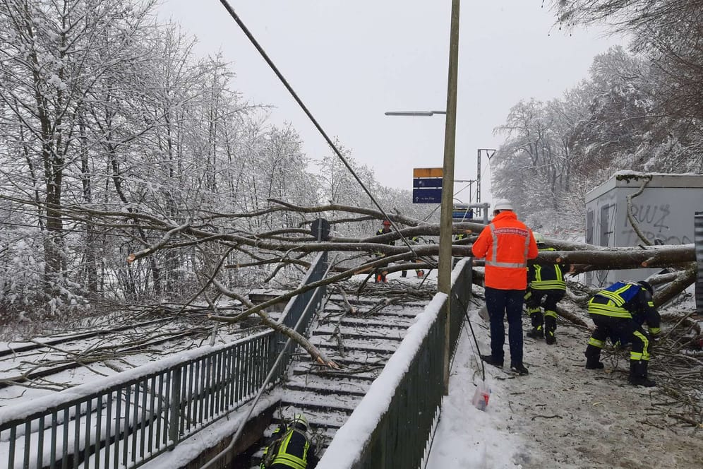 Umgestürzter Baum an S-Bahn-Halt bei Erding: Bei einem Unfall wurden am Freitag zwei Menschen verletzt.