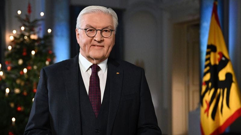 Bundespräsident Frank-Walter Steinmeier