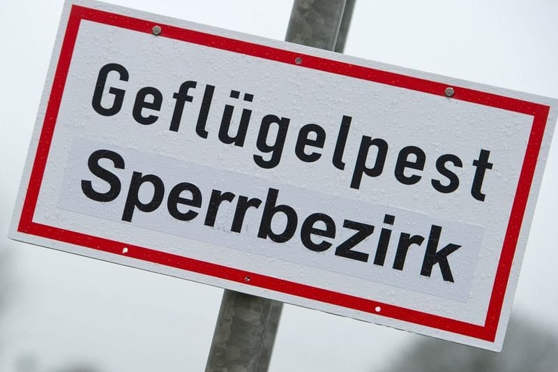 Ein Schild mit der Aufschrift "Geflügelpest Sperrbezirk" (Symbolfoto): Wasservögel sollten nicht gefüttert werden.