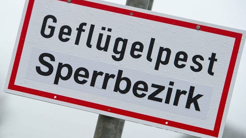 Ein Schild mit der Aufschrift "Geflügelpest Sperrbezirk" (Symbolfoto): Wasservögel sollten nicht gefüttert werden.