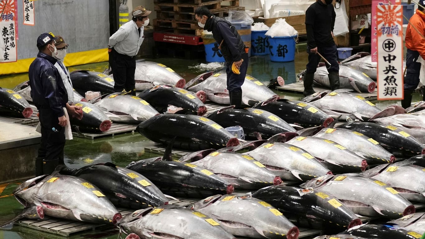 Thunfisch-Auktion in Tokio