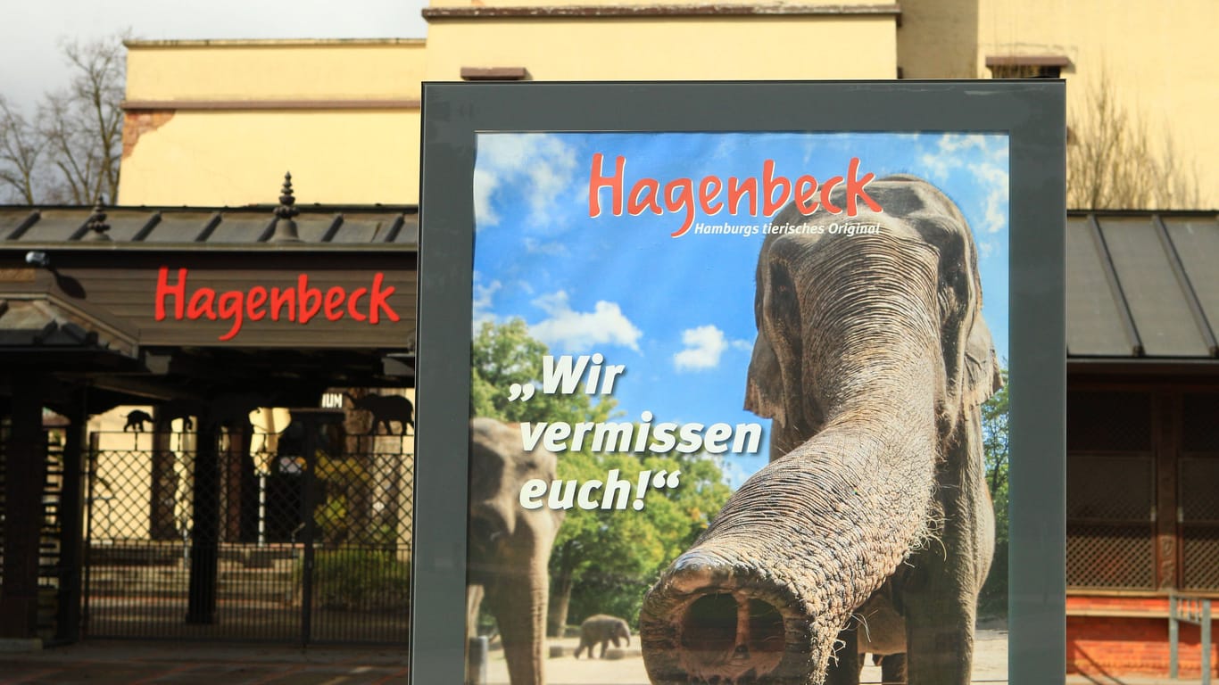 "Wir vermissen dich" wird den Elefanten vom Tierpark Hagenbeck während des Corona-Lockdowns zugeschrieben. Sicher?