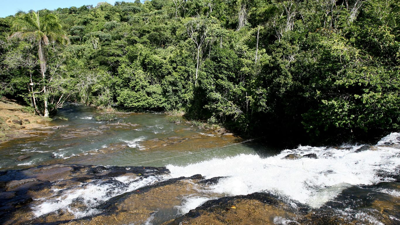 Der brasilianische Regenwald gilt als grüne Lunge der Erde und wichtiges Ökosystem im Kampf gegen die Klimakrise. Unter Bolsonaro hatte die Rodung der Flächen drastisch zugenommen.