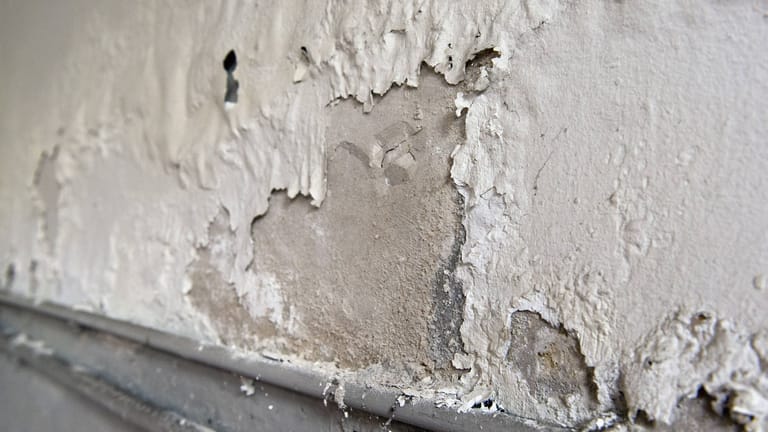 Mauerschaden: Salpeter im Mauerwerk kann durch eindringende Feuchtigkeit von außen entstehen.