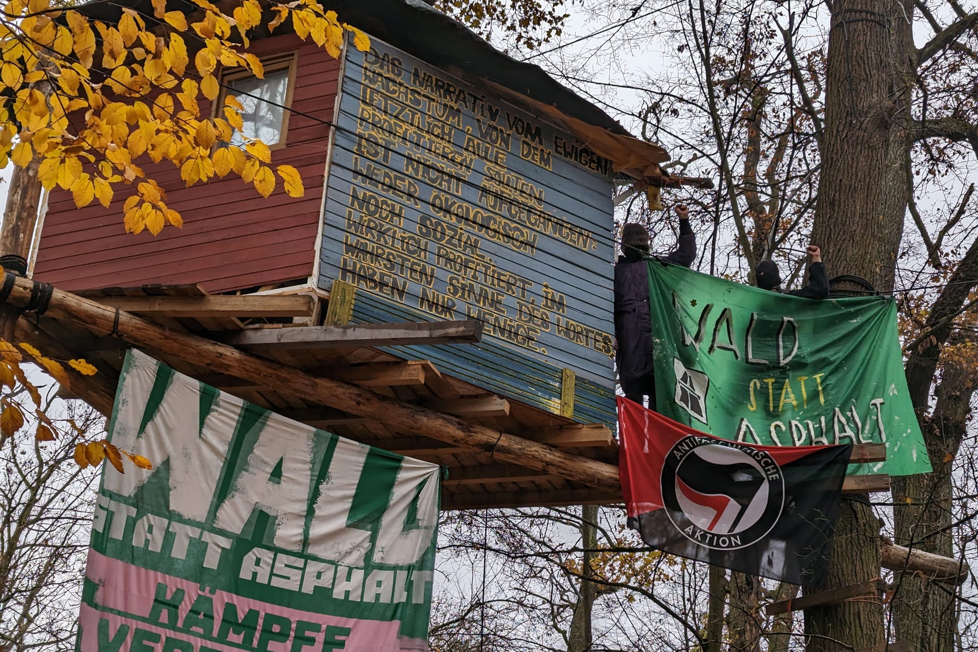 Aktivisten auf einem Baumhaus im Fechenheimer Wald: Sie werden bis zum Schluss den Wald verteidigen.