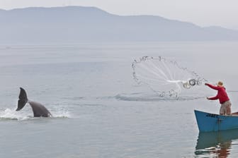 Delfin und Fischerboot im brasilianischen Laguna (Archiv): Durch die Zusammenarbeit mit den Delfinen fangen die Fischer rund viermal mehr Fische.