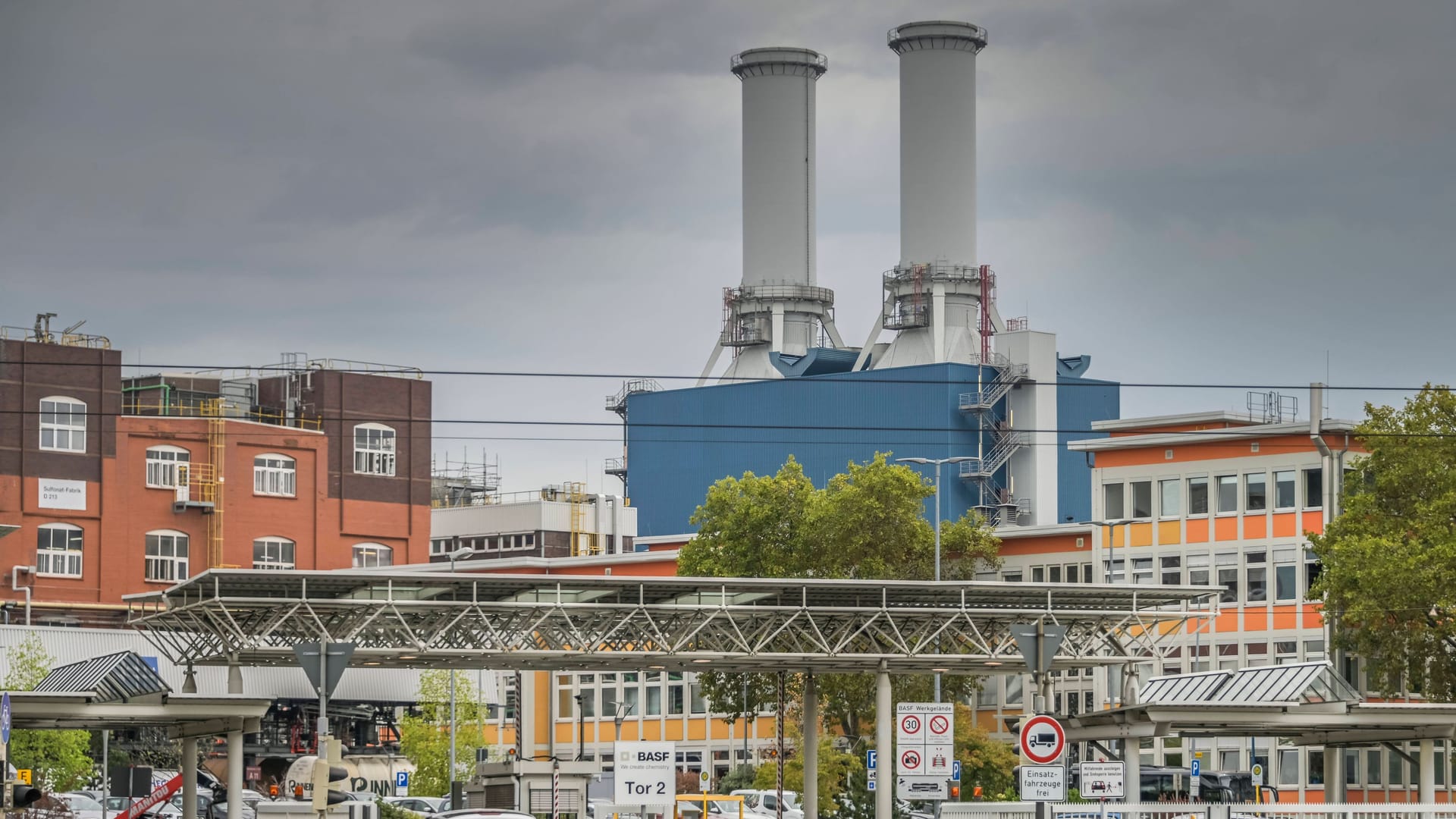 Das Werk des Chemiekonzerns BASF in Ludwigshafen: Der Bundesverband der Deutschen Industrie (BDI) sorgt sich um die Zukunft deutscher Unternehmen.