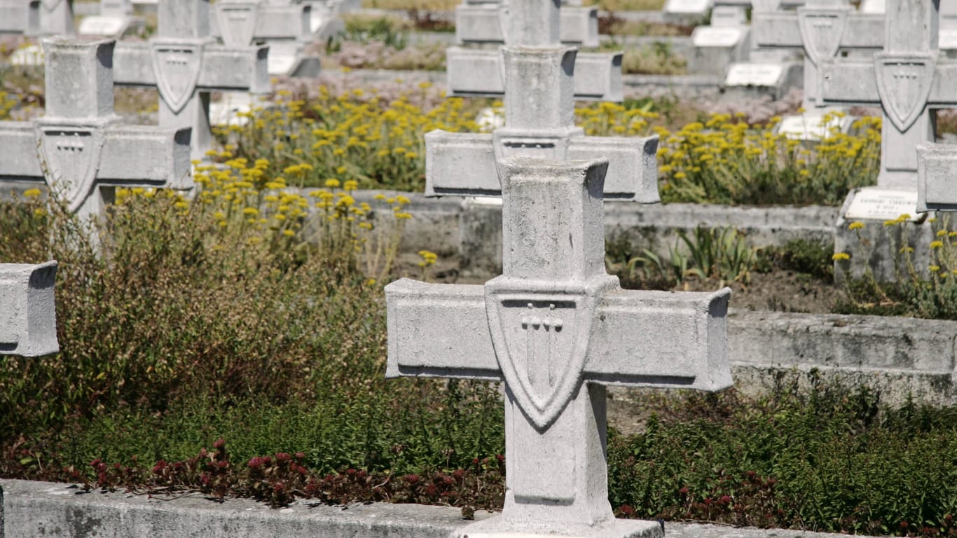 Soldatenfriedhof Siekierki: Hunderttausende polnische Soldaten fielen dem deutschen Angriffskrieg zum Opfer - Polen fordert Reparationszahlungen.