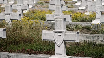 Cmentarz Wojenny Siekierki: Setki tysięcy polskich żołnierzy zabitych w niemieckiej wojnie okupacyjnej - Polska domaga się reparacji.