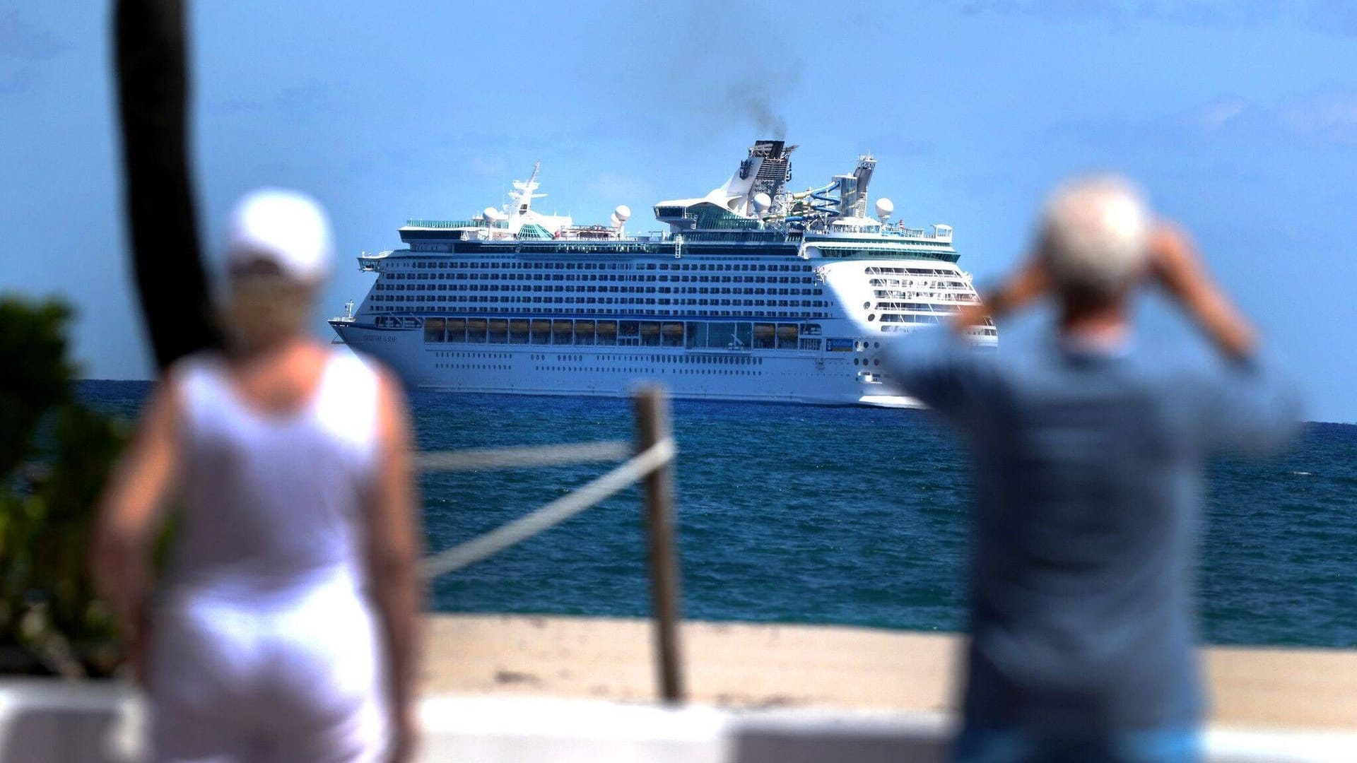 Kreuzfahrtschiff auf der Reise (Archivfoto). Bio-Fouling ist ein Problem für viele Ökosysteme.