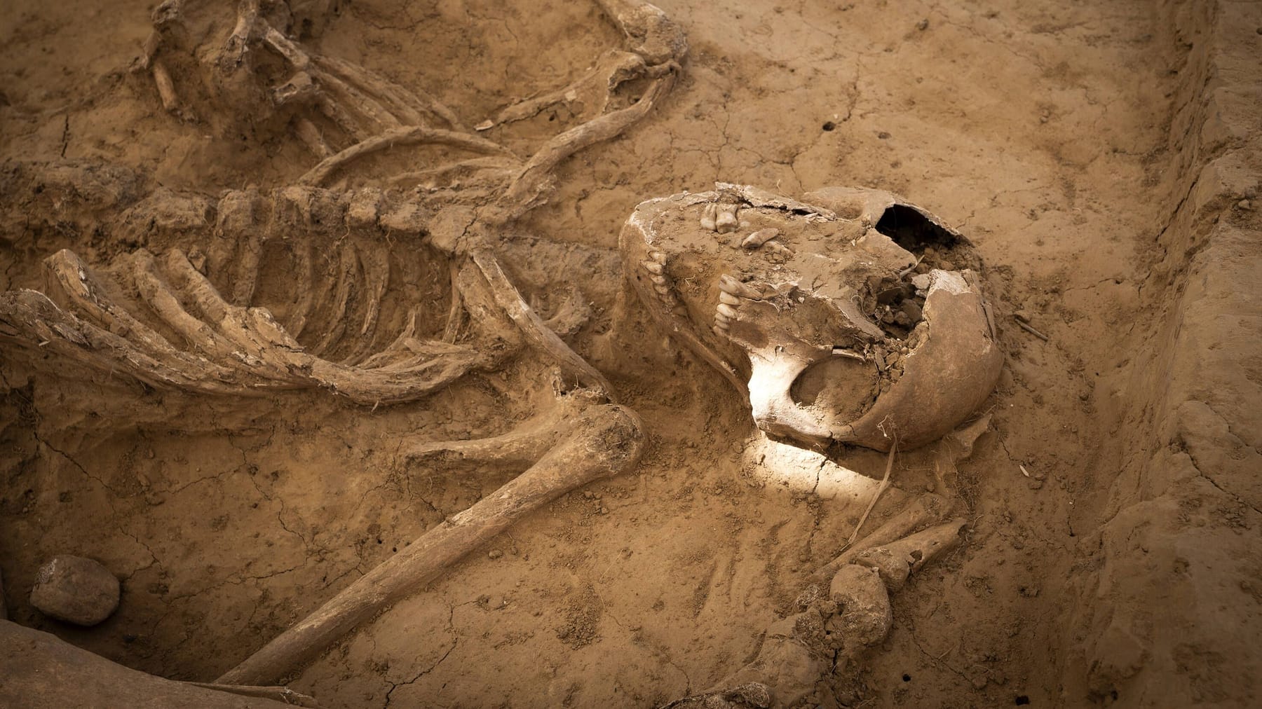 Researchers crack the mysteries about the bones of the fallen