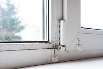 Schimmel am Fenster entfernen: Bei oberflächlichen Schimmel können traditionellen Hausmittel helfen.