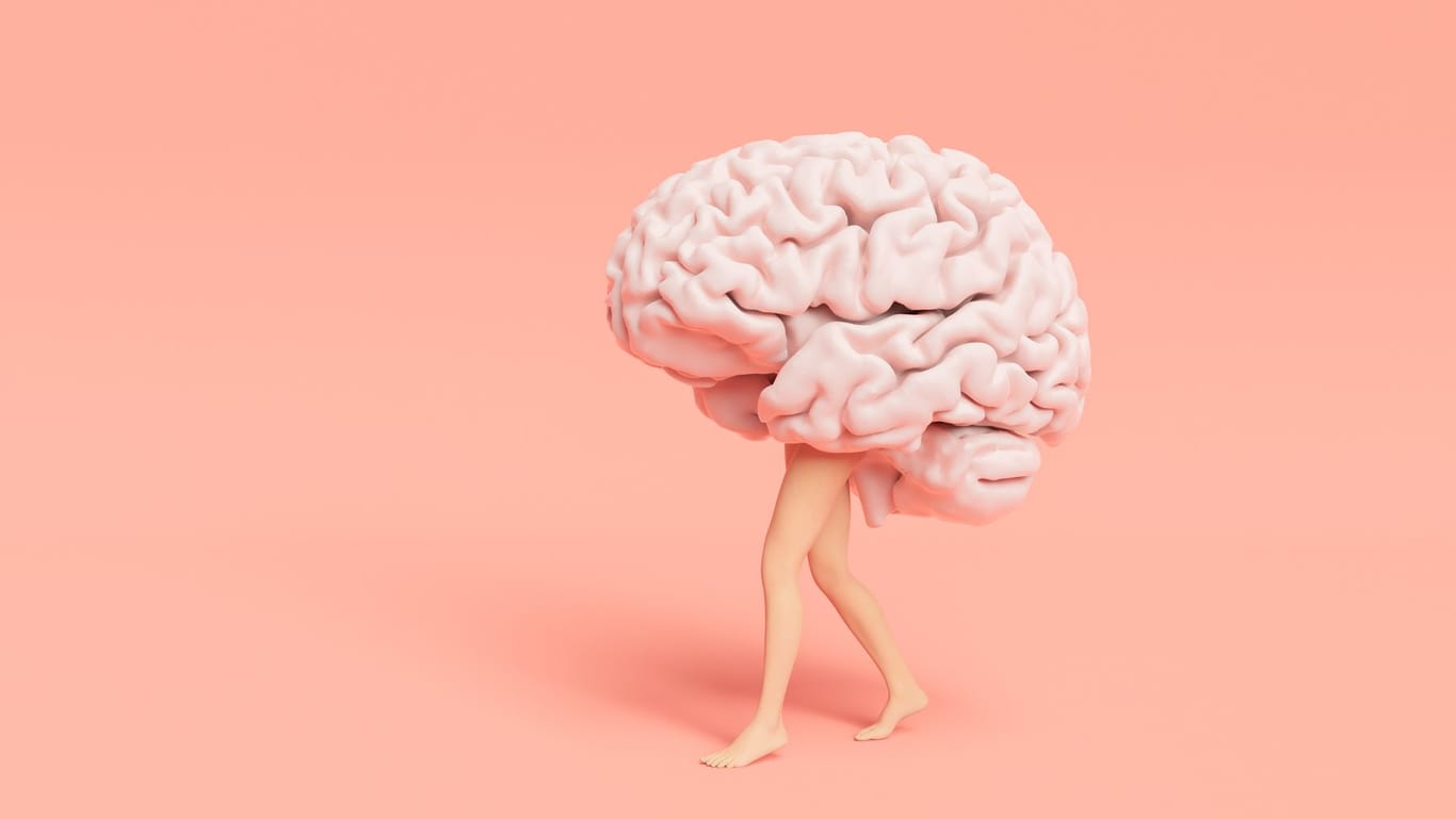 Ist Ihr Gehirn nicht nur schnell, sondern auch schlau?