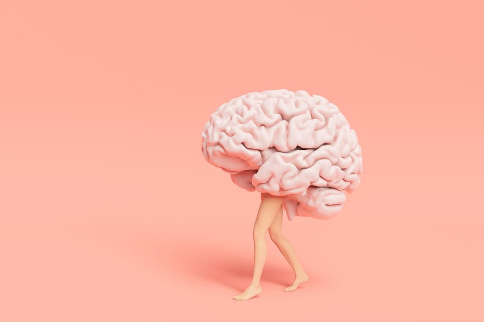 Ist Ihr Gehirn nicht nur schnell, sondern auch schlau?