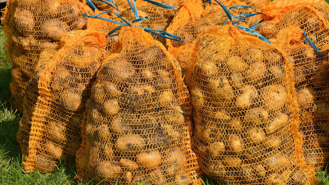 Kartoffeln: Seit Jahresbeginn dürfen Sie nicht mehr mit einem bestimmten Keimhemmungsmittel behandelt.