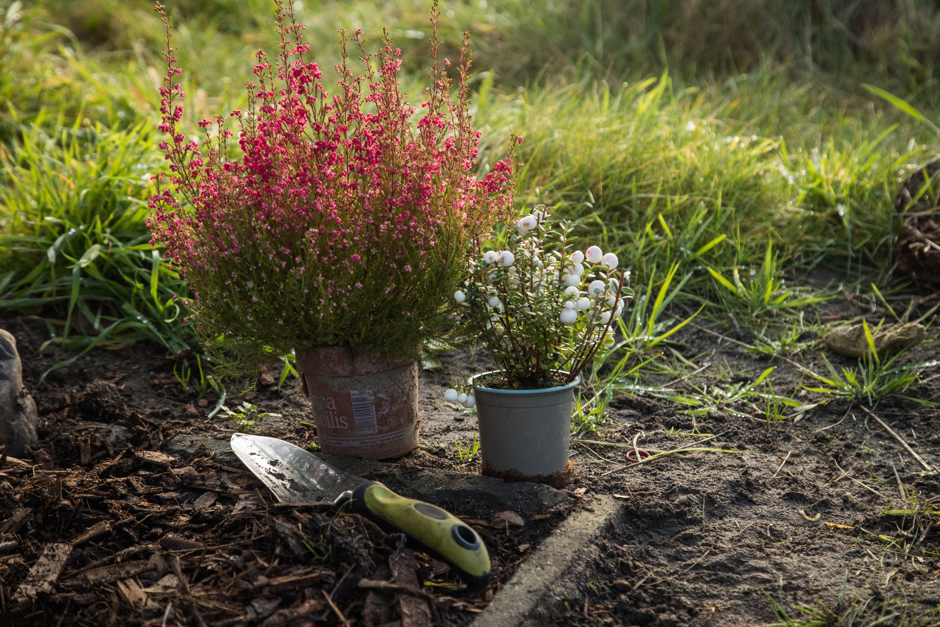 Bald geht es wieder los: Die Pflanzsaison braucht auch gute Werkzeuge, zum Einsetzen des neuen Gartengrüns.