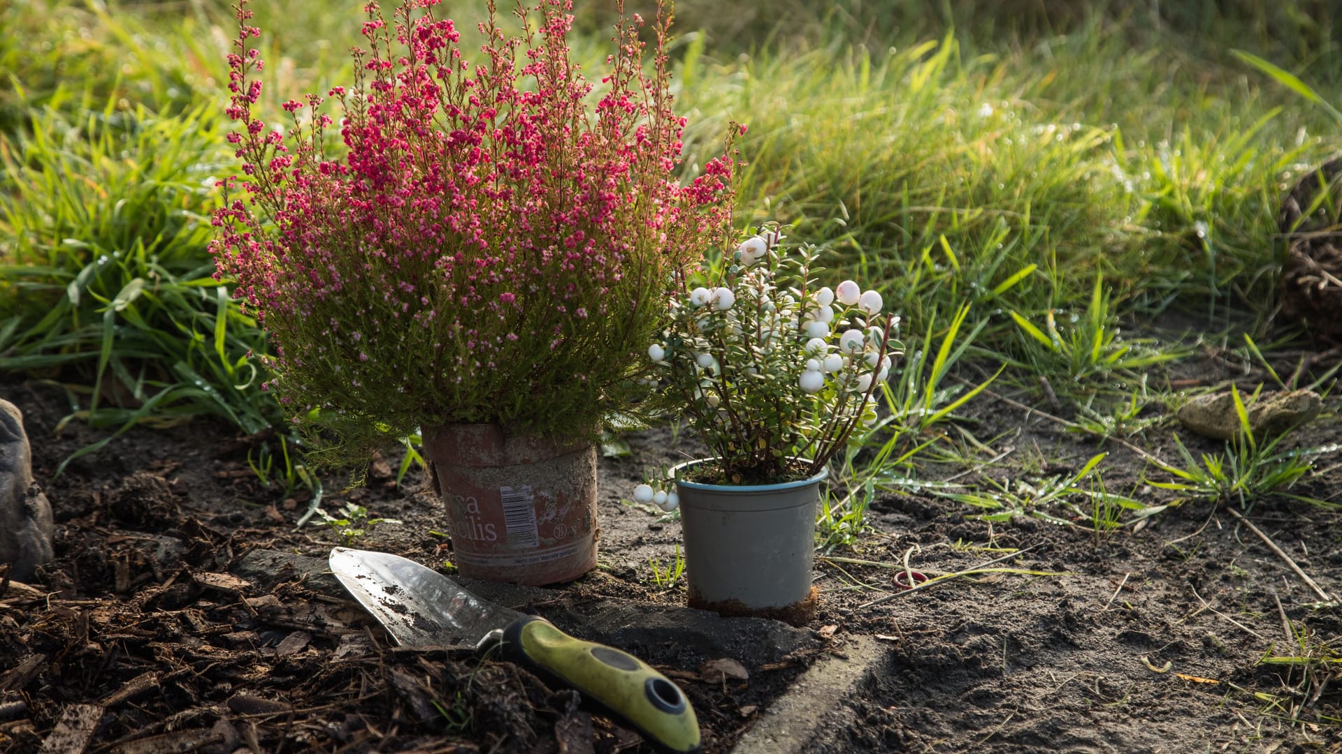 Bald geht es wieder los: Die Pflanzsaison braucht auch gute Werkzeuge, zum Einsetzen des neuen Gartengrüns.