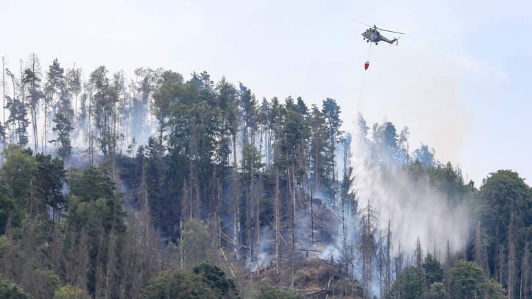 Wochenlang waren die Einsatzkräfte im Sommer mit den Löscharbeiten beschäftigt. Ein Gutachten der TU Dresden sollte klären, welche Auswirkungen das Totholz auf den Brand hatte.