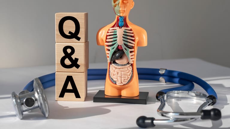 Modell eines Menschen mit inneren Organen, daneben ein Stethoskop und Würfel mit der Aufschrift "Q & A"