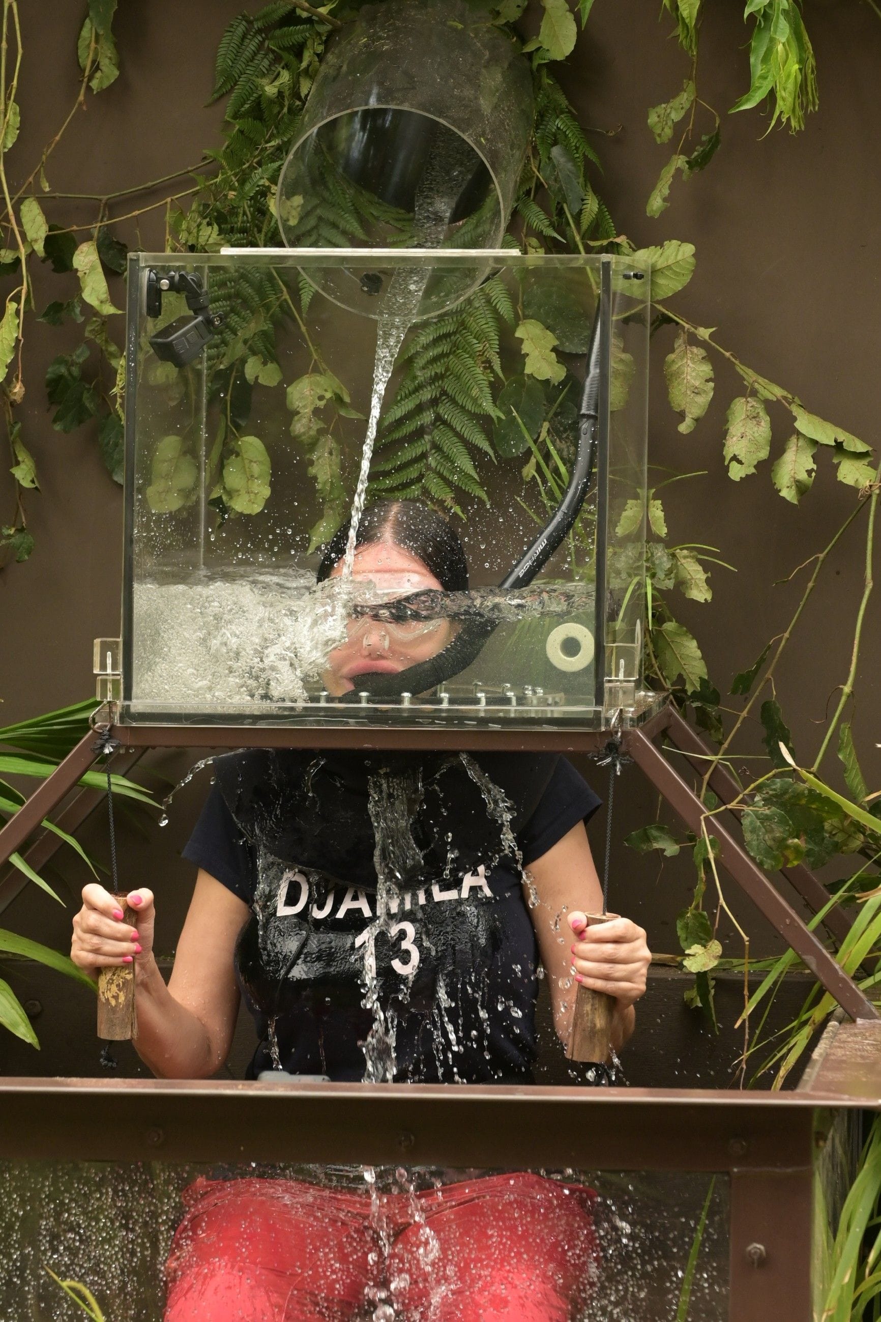 Djamila Rowe im "Dschungel-Aquarium".