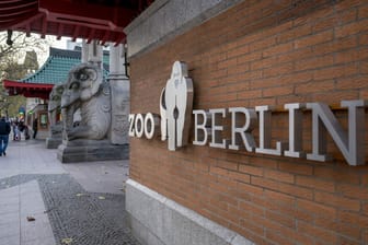 Eingang zum Berliner Zoo: Besucher müssen vor ihrem Besuch nicht mehr über spezielle Desinfektionsmatten laufen.