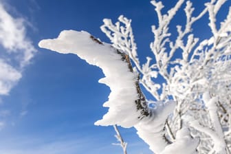 Ein eingeschneiter Ast in den Bergen (Symbolbild): In Bayern wartet man seit Wochen wieder auf Winterwetter.