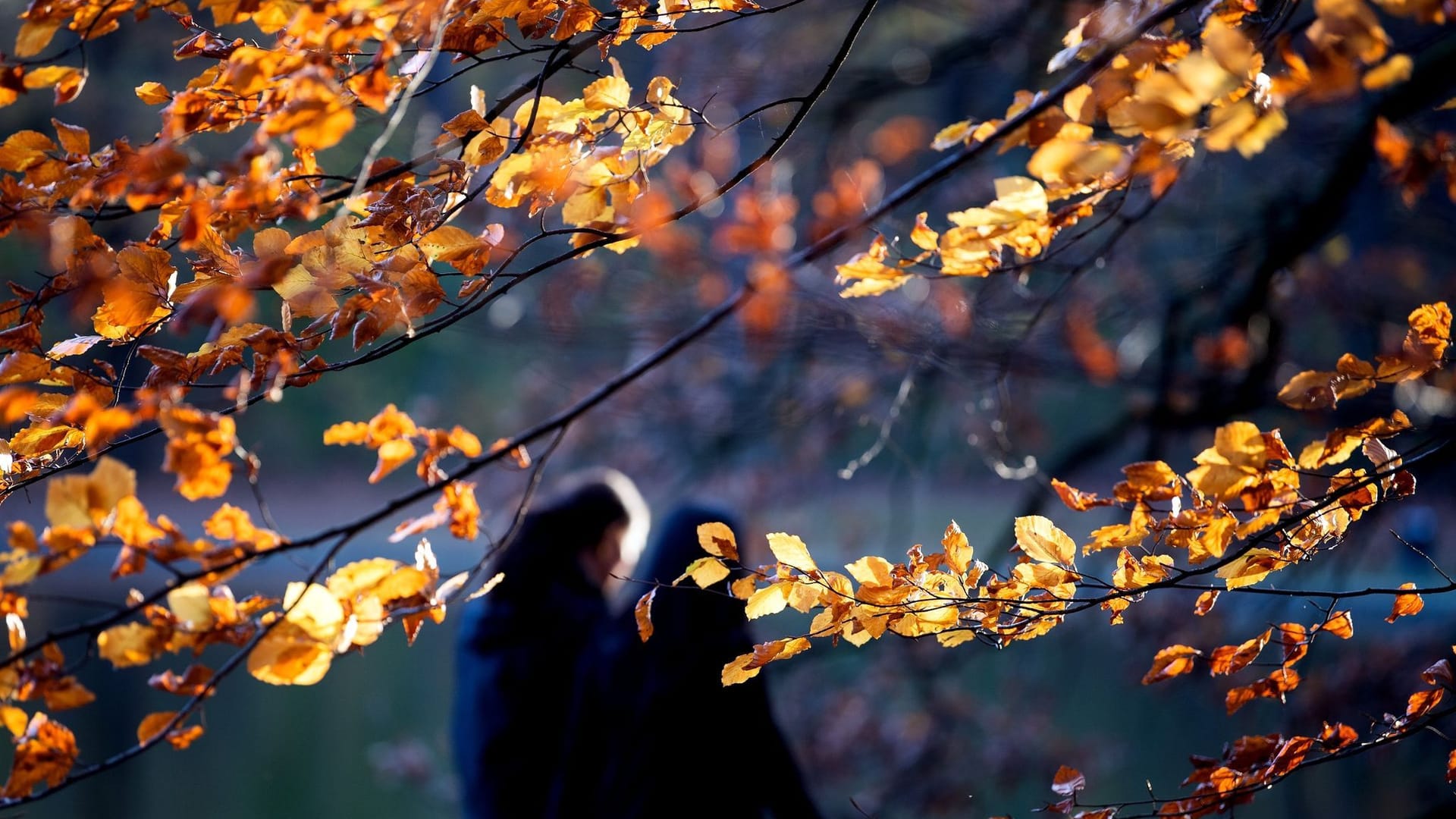 Herbstwetter