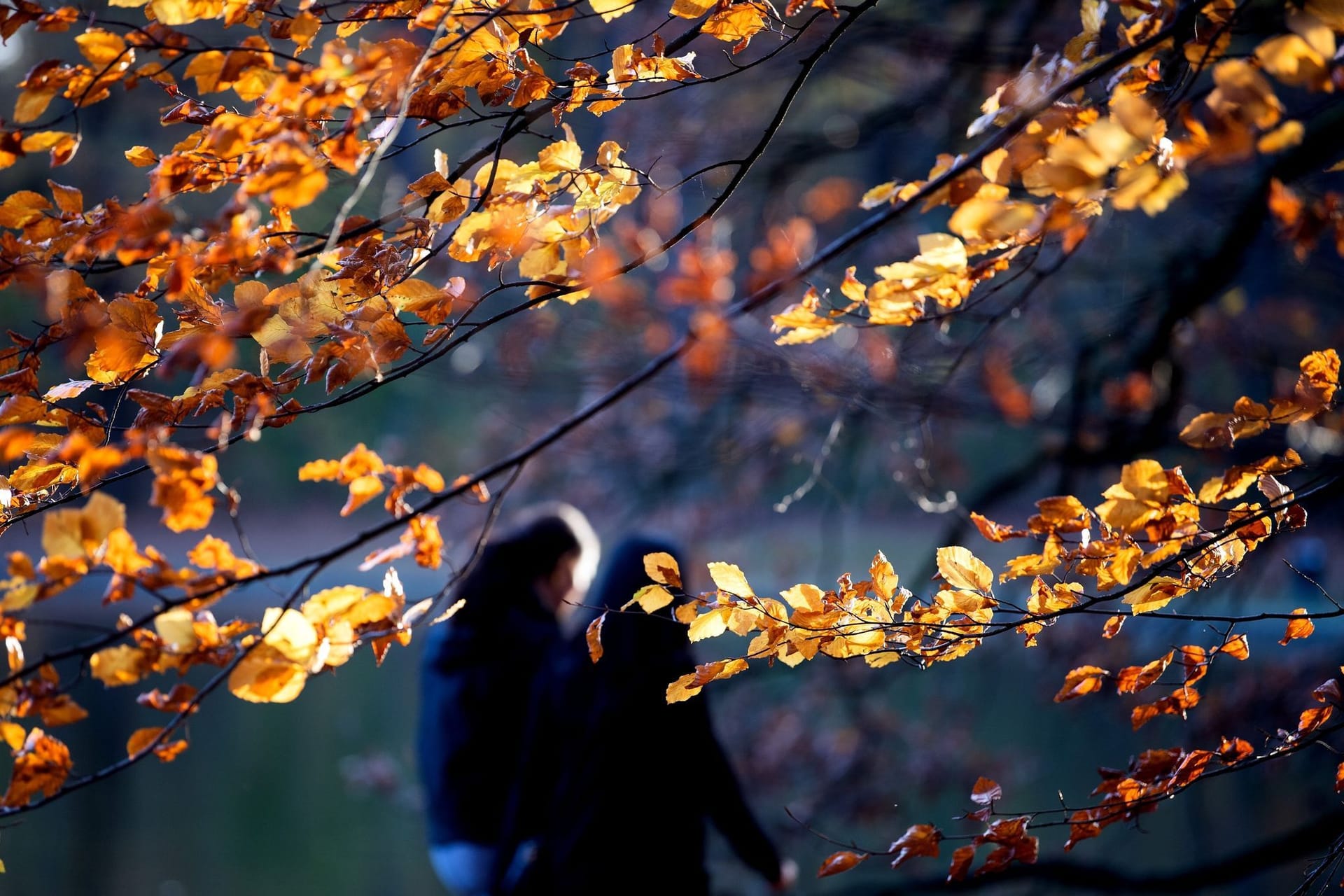 Herbstwetter