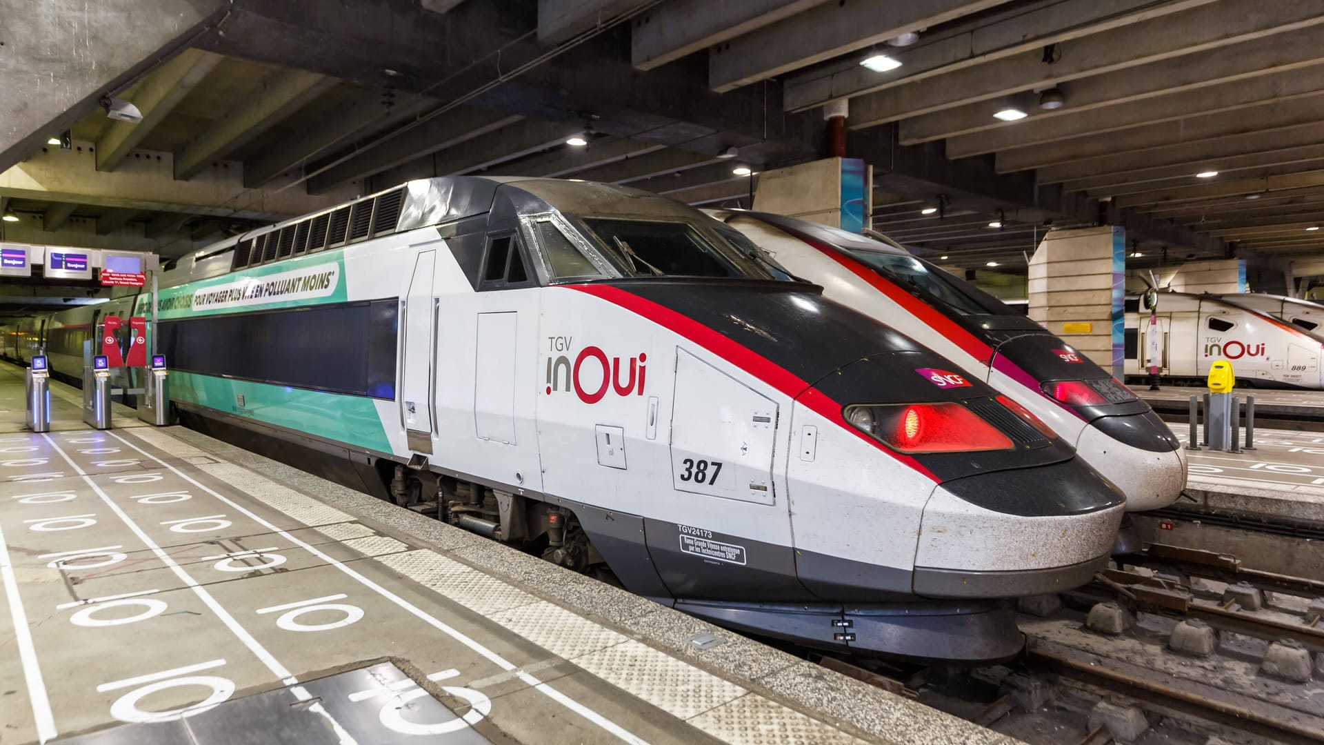 Ein TGV im Bahnhof Montparnasse (Symbolbild): Eine entwischte Katze wurde auf einem Gleis überfahren, obwohl die Besitzer gewarnt hatten. Ein TGV im Bahnhof Montparnasse (Symbolbild): Eine entwischte Katze wurde auf einem Gleis überfahren, obwohl die Besitzer gewarnt hatten.