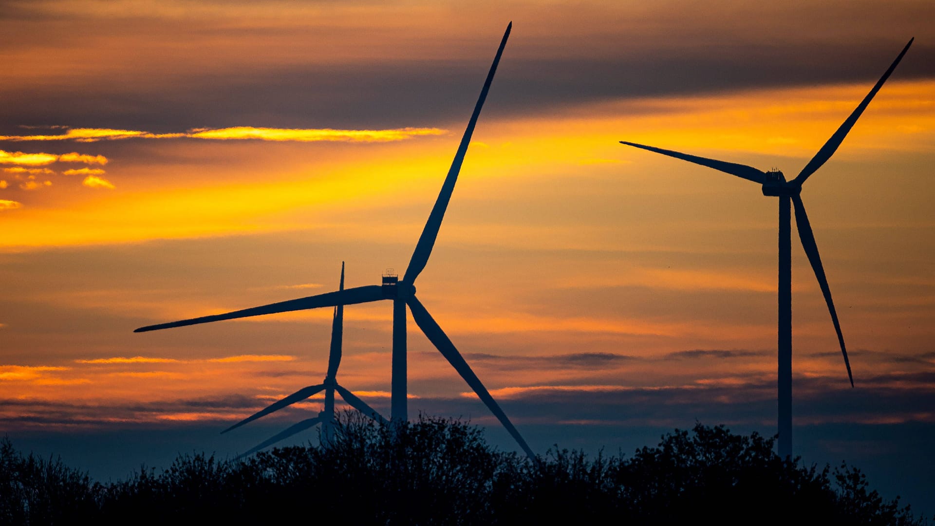 Windräder bei Teltow in Brandenburg: Viel mehr produziert, als verbraucht wird.