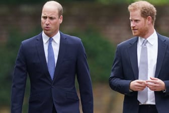 Prinz William und sein jüngerer Bruder: Schafft Harry es, den Ruf des künftigen Königs zu ruinieren?