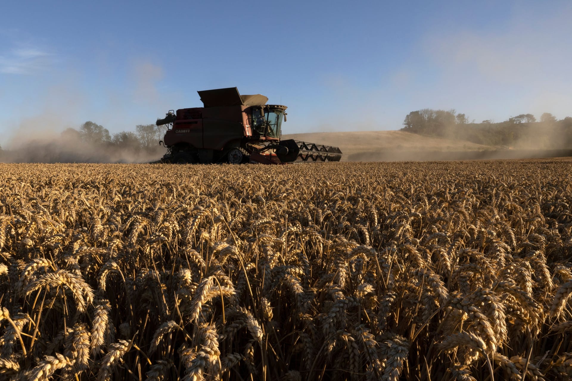 Ein Mähdrescher bei der Arbeit: Forst- und landwirtschaftlich genutzte Fahrzeuge sind von der Kfz-Steuer befreit. Ein Mähdrescher bei der Arbeit: Forst- und landwirtschaftlich genutzte Fahrzeuge sind von der Kfz-Steuer befreit.