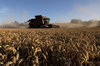 Ein Mähdrescher bei der Arbeit: Forst- und landwirtschaftlich genutzte Fahrzeuge sind von der Kfz-Steuer befreit.