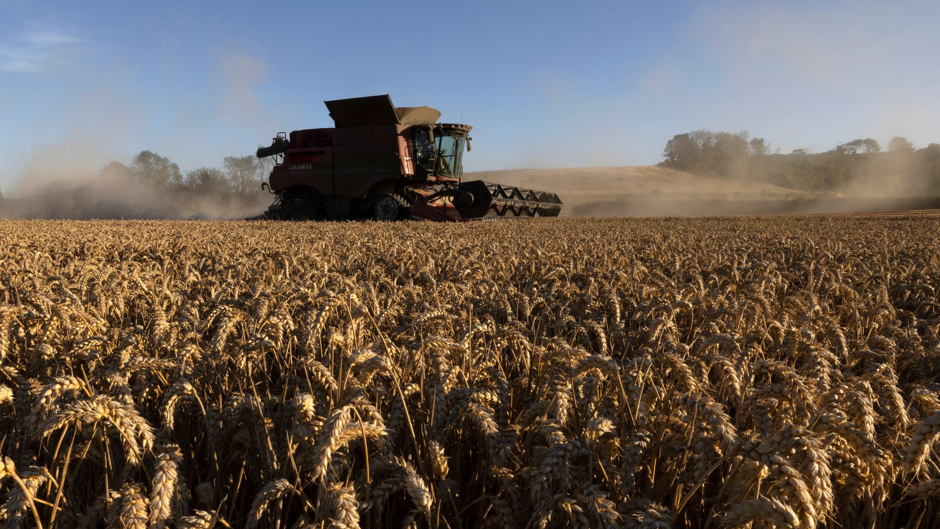 Ein Mähdrescher bei der Arbeit: Forst- und landwirtschaftlich genutzte Fahrzeuge sind von der Kfz-Steuer befreit. Ein Mähdrescher bei der Arbeit: Forst- und landwirtschaftlich genutzte Fahrzeuge sind von der Kfz-Steuer befreit.