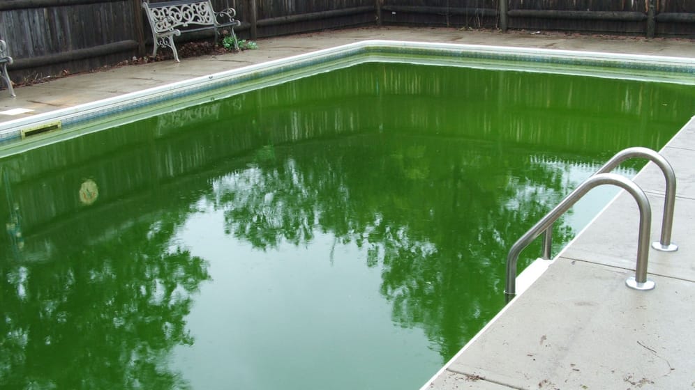Grünes Poolwasser: Der ph-Wert des Poolwassers sollte regelmäßig getestet werden.