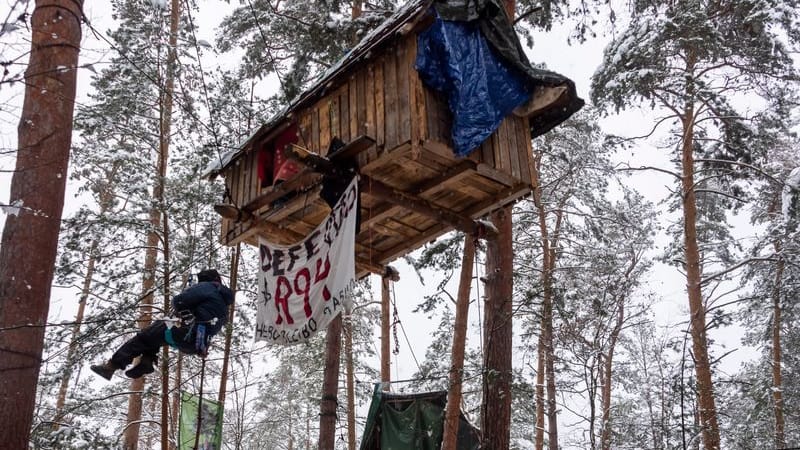 Klimaaktivisten besetzen ein Waldstück in Ottendorf-Okrilla. Die Aktion steht unter dem Motto "Heibo bleibt!".