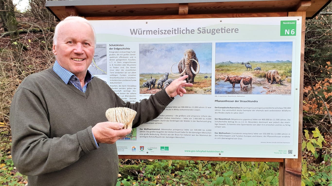 Willibald Braun präsentiert seinen Zahnfund an der Tafel des Geo-Lehrpfades in Holzkirchen. (Archivbilder): Dass die Tiere auch dort lebten, wo lange ein Gletscher war, hatte man bisher nicht vermutet.