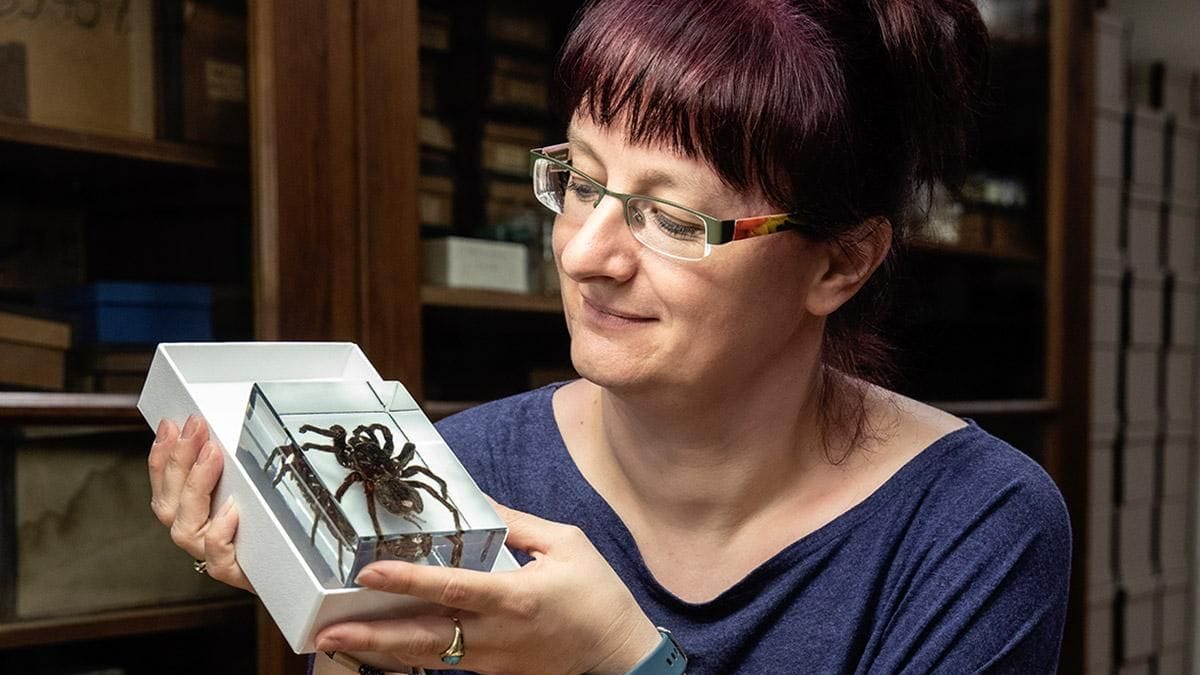 Anja Friederichs ist Biologin in Berlin.